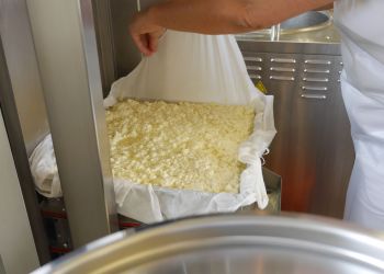 Presskasten schliessen