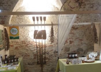 Hofladen Biotofu Frauenkirchen